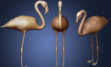 3D мадэль Исправлен Glad Flamingo (STL)